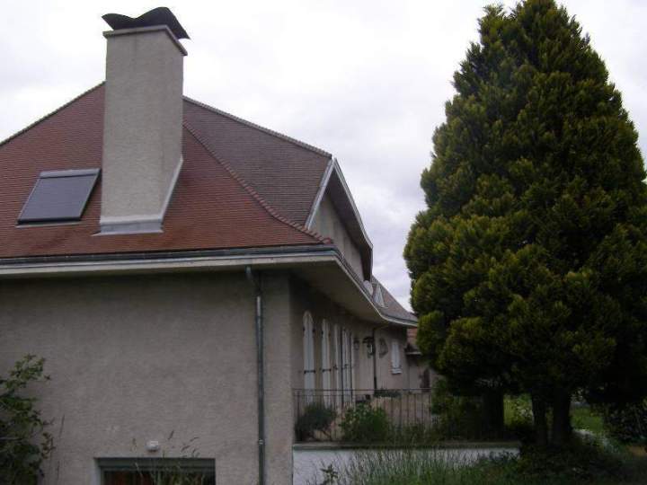 Tuiles plates de France Brun Type Lambert